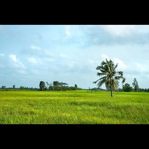 Meet your Posher, Quang